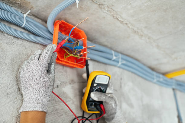 Best Licensed Electrician  in Roseland, NJ